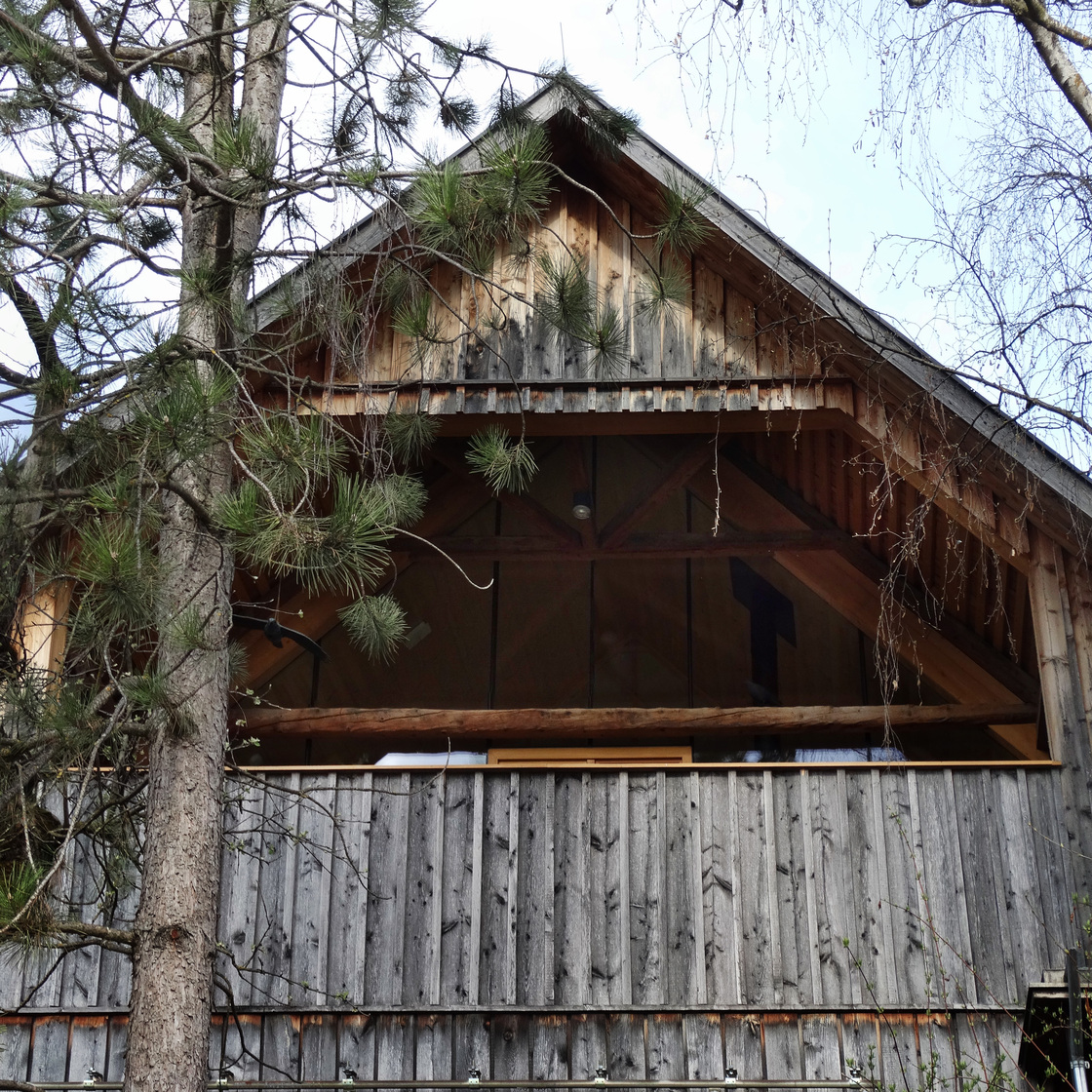 Ein Foto von Daniel Pfurtscheller