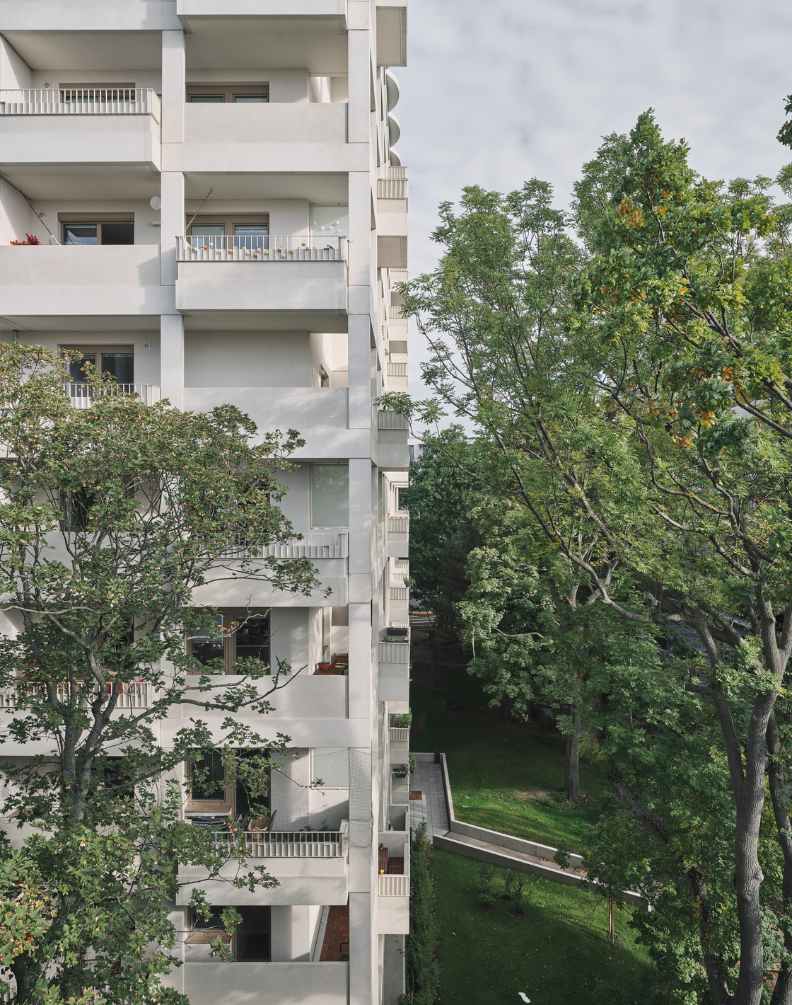 Ein Foto von David Schreyer