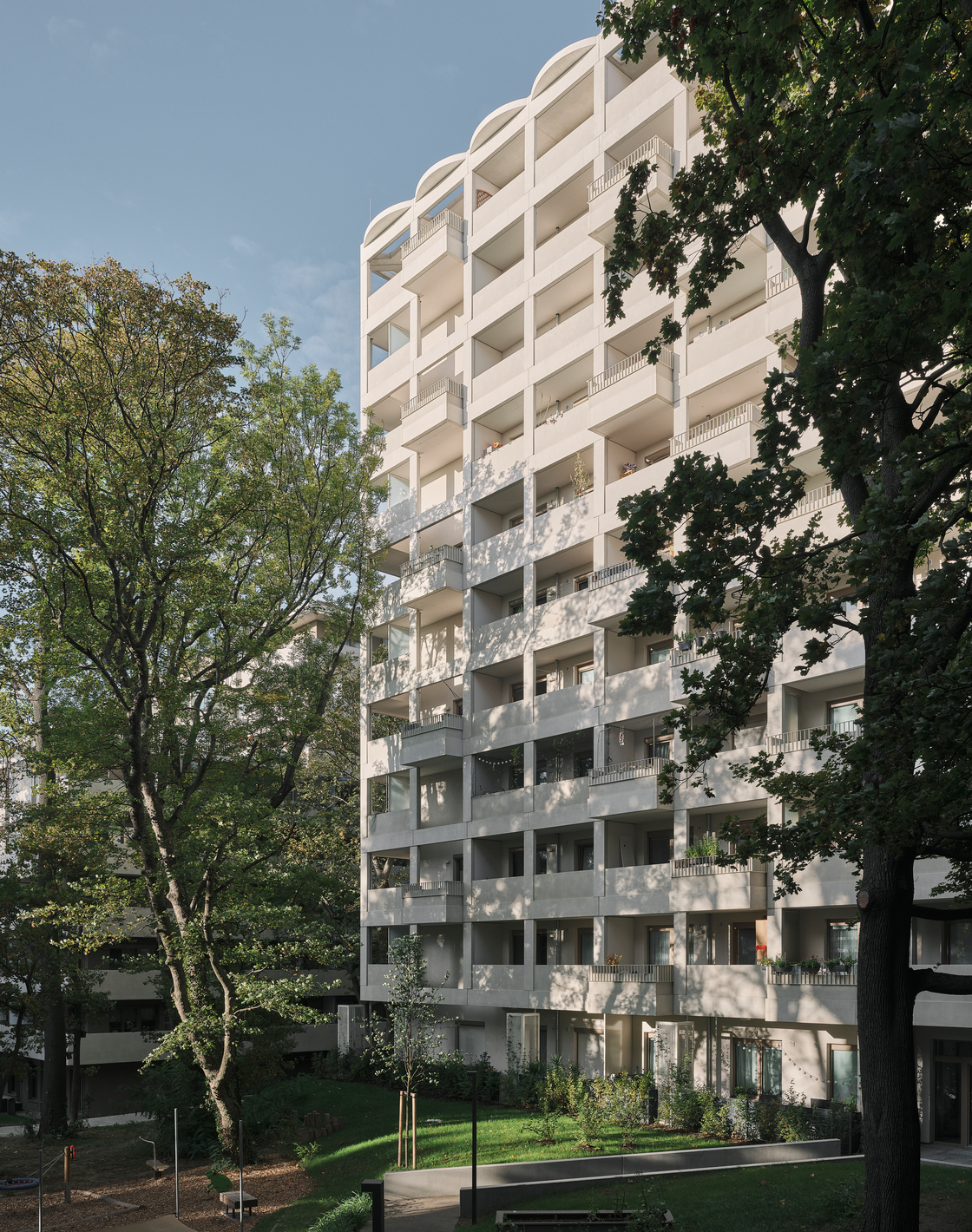 Ein Foto von David Schreyer