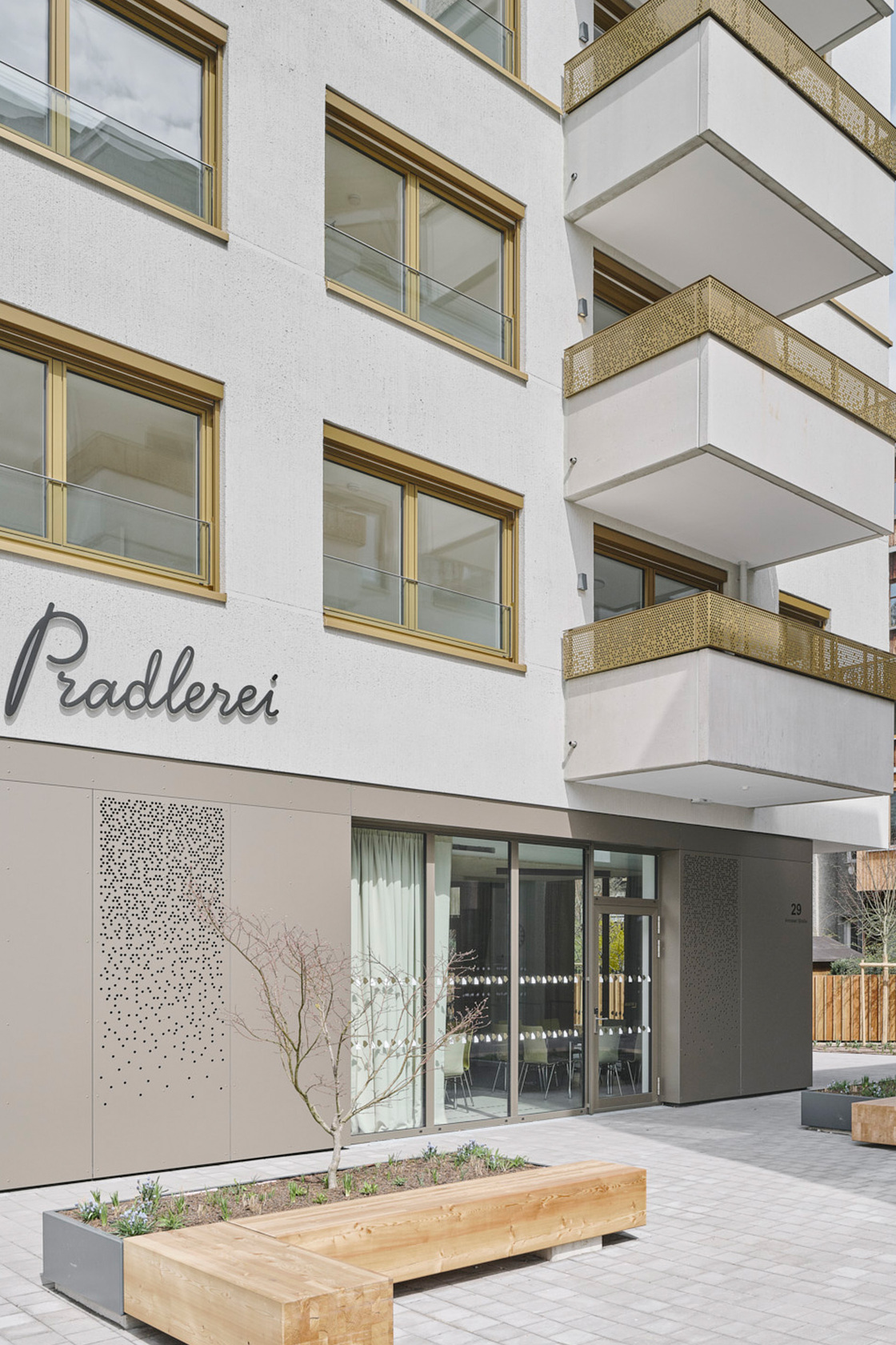 Ein Foto von David Schreyer