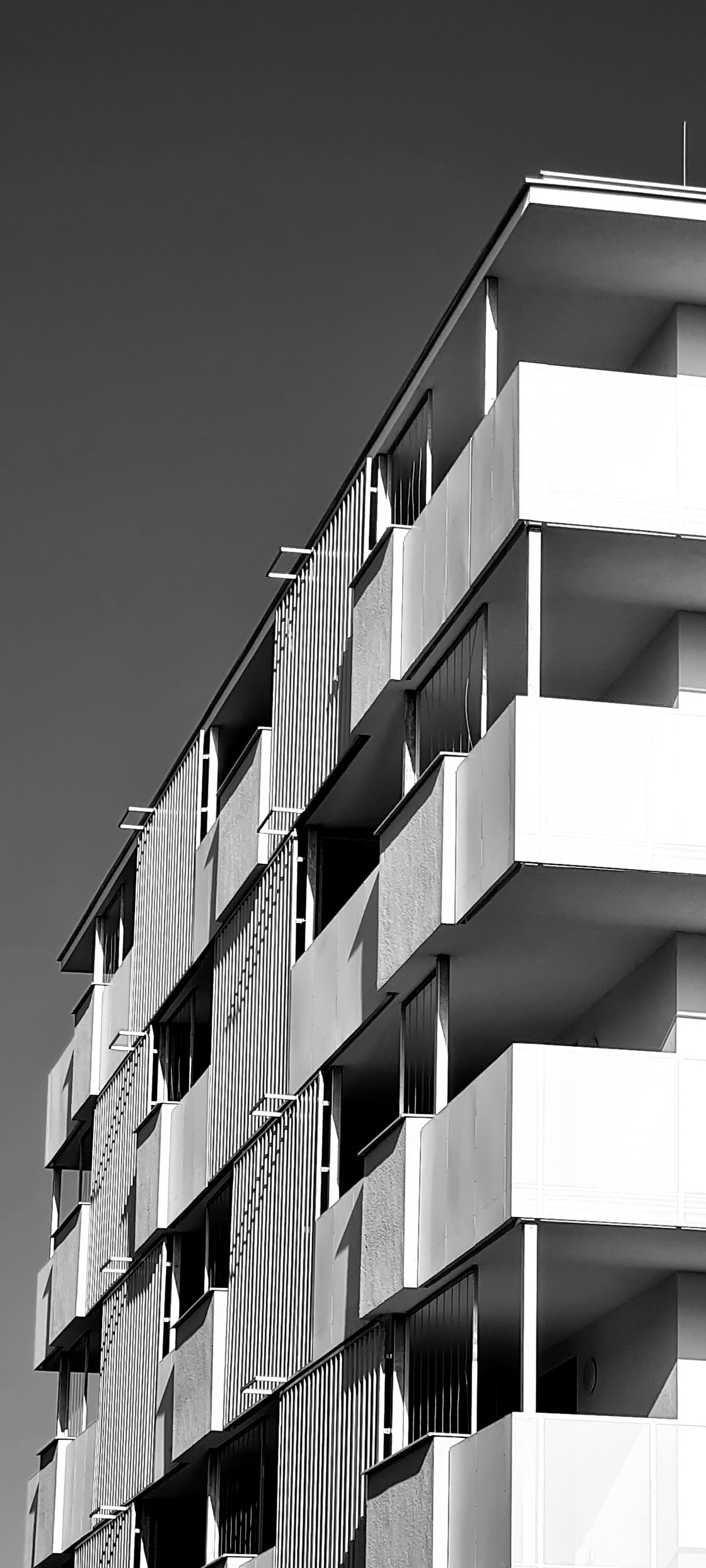 Ein Foto von Christoph Sulyok