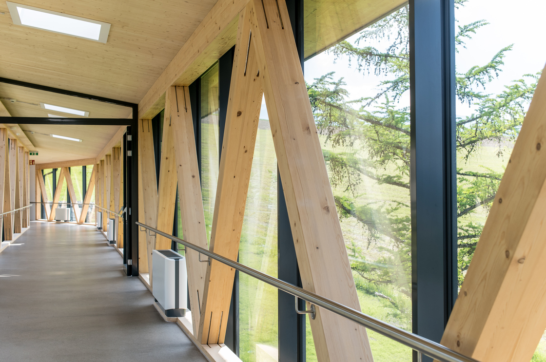 Ein Foto von Martin Assam