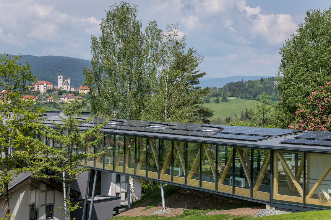 Ein Foto von Martin Assam