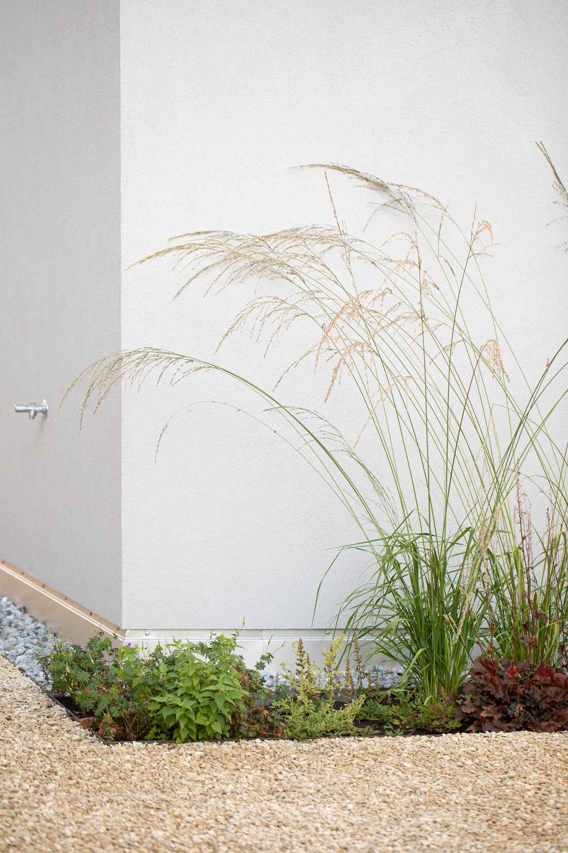 Ein Foto von Petra Rainer