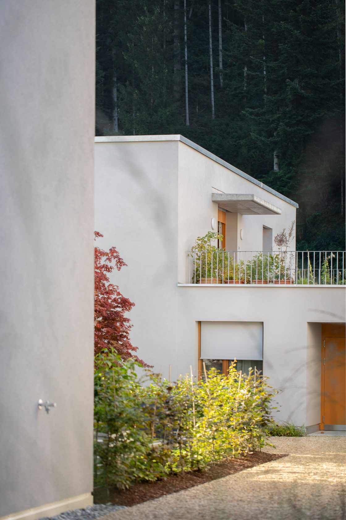 Ein Foto von Petra Rainer