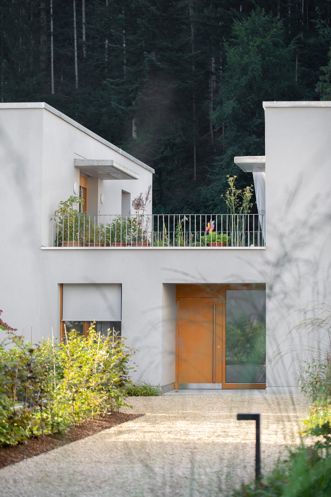 Ein Foto von Petra Rainer