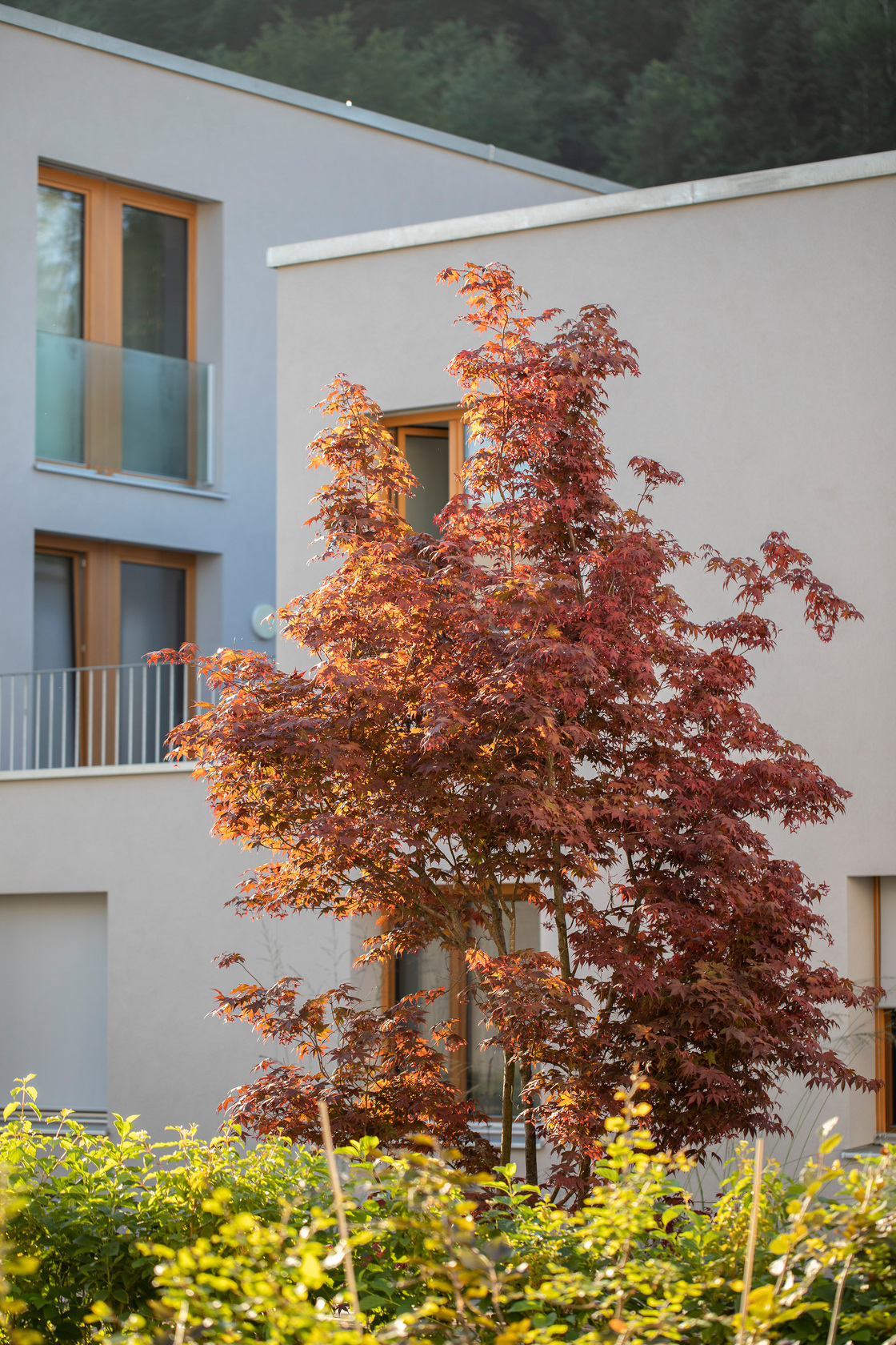 Ein Foto von Petra Rainer