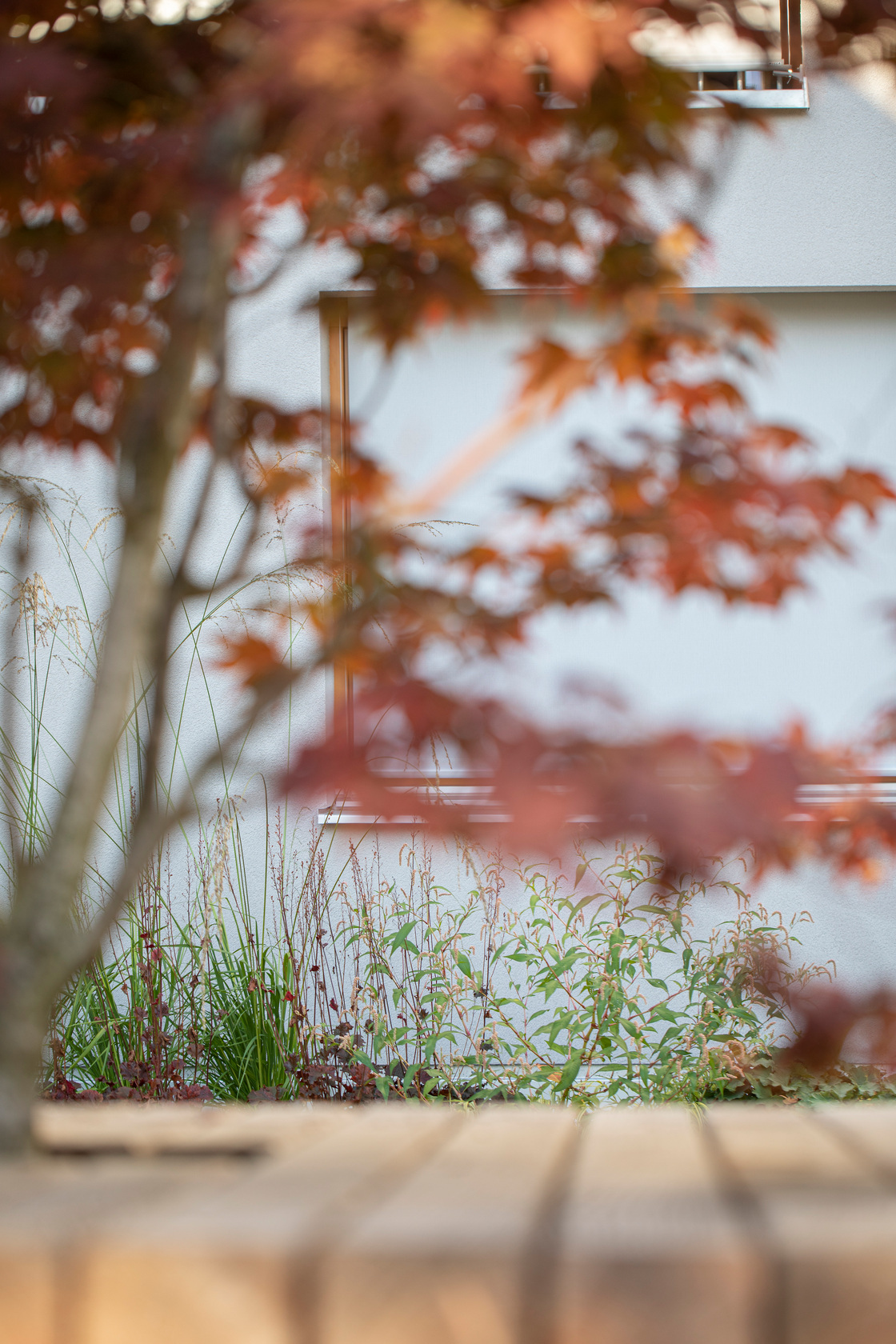 Ein Foto von Petra Rainer