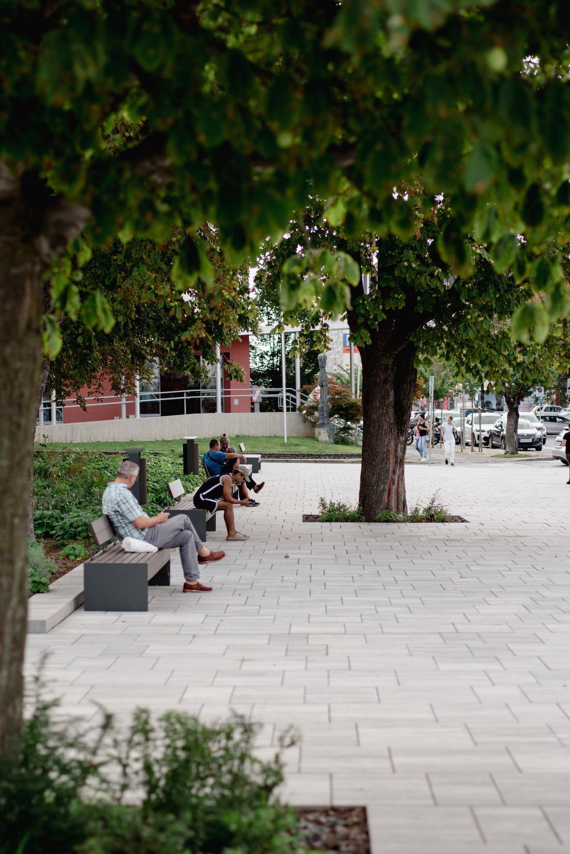 Ein Foto von Rainer Schoditsch
