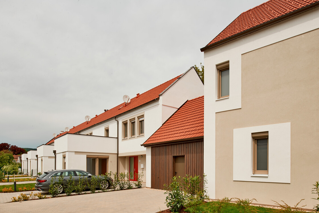 Ein Foto von Gábor Máté