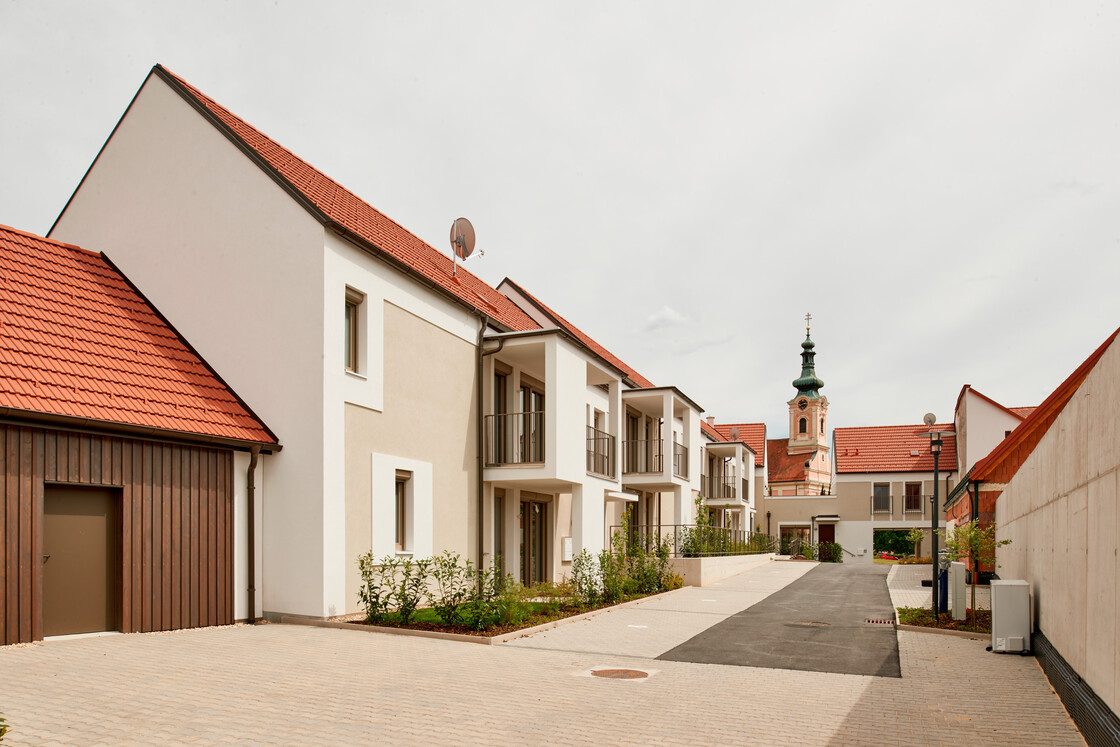 Ein Foto von Gábor Máté