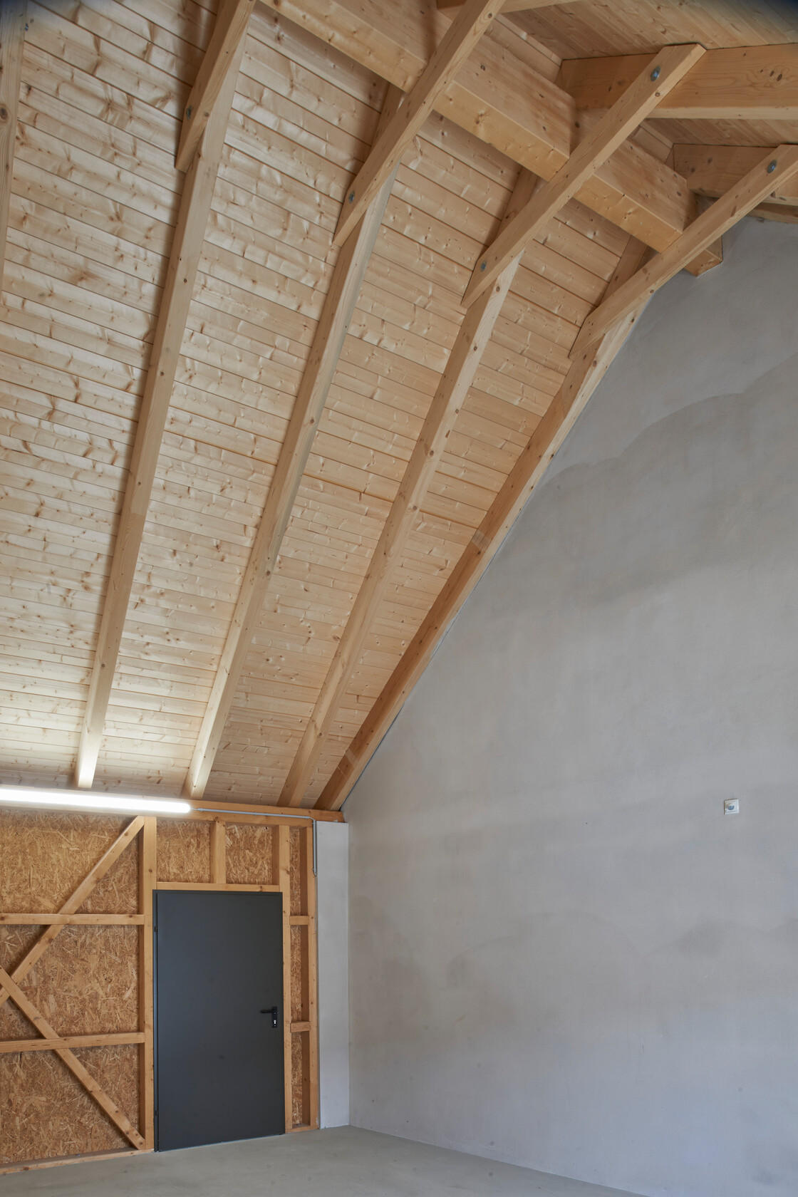 Ein Foto von Gábor Máté