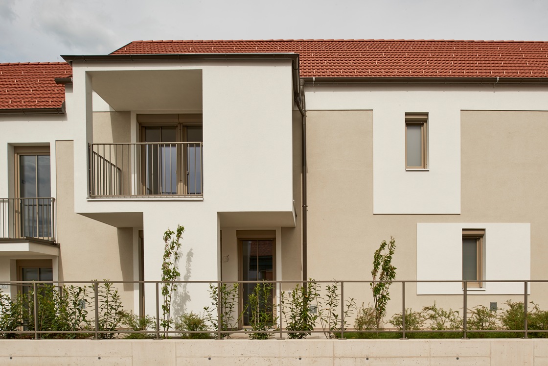 Ein Foto von Gábor Máté