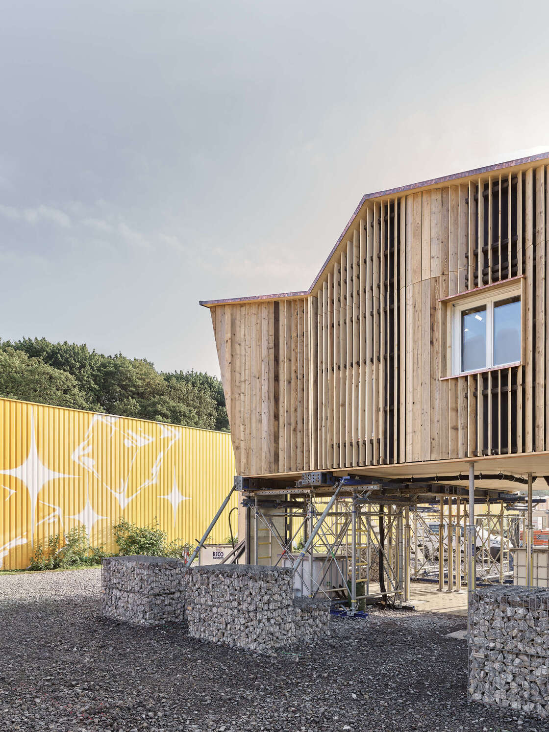 Ein Foto von Zooey Braun