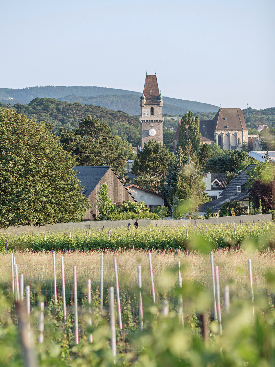 Ein Foto von Hertha Hurnaus