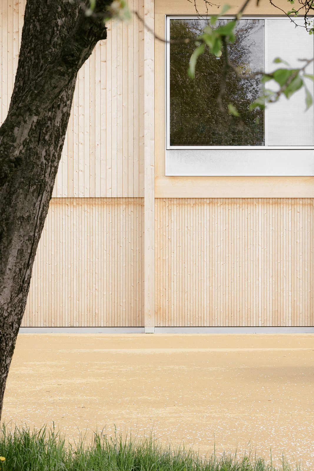 Ein Foto von Dominic Kummer