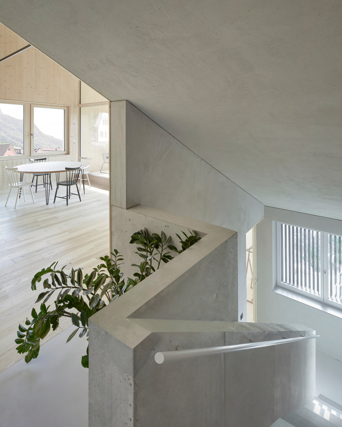 Ein Foto von Adolf Bereuter