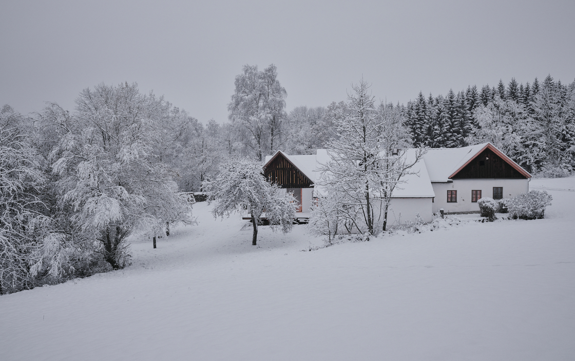 Ein Foto von David Schreyer