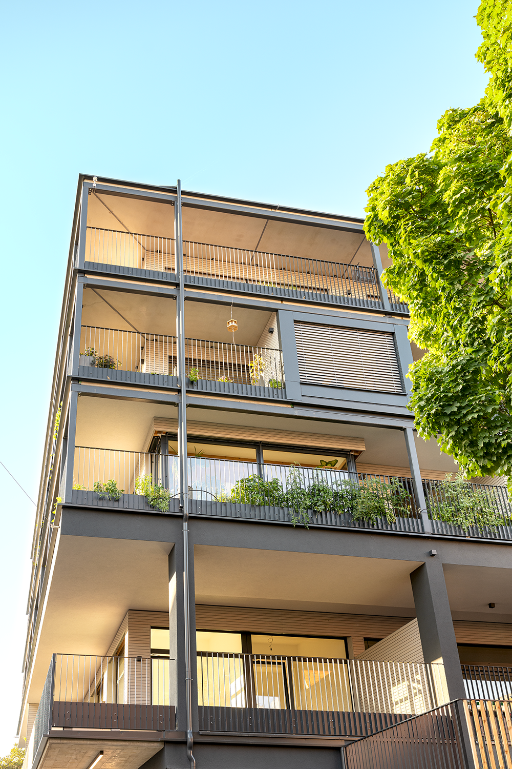 Ein Foto von Violetta Wakolbinger