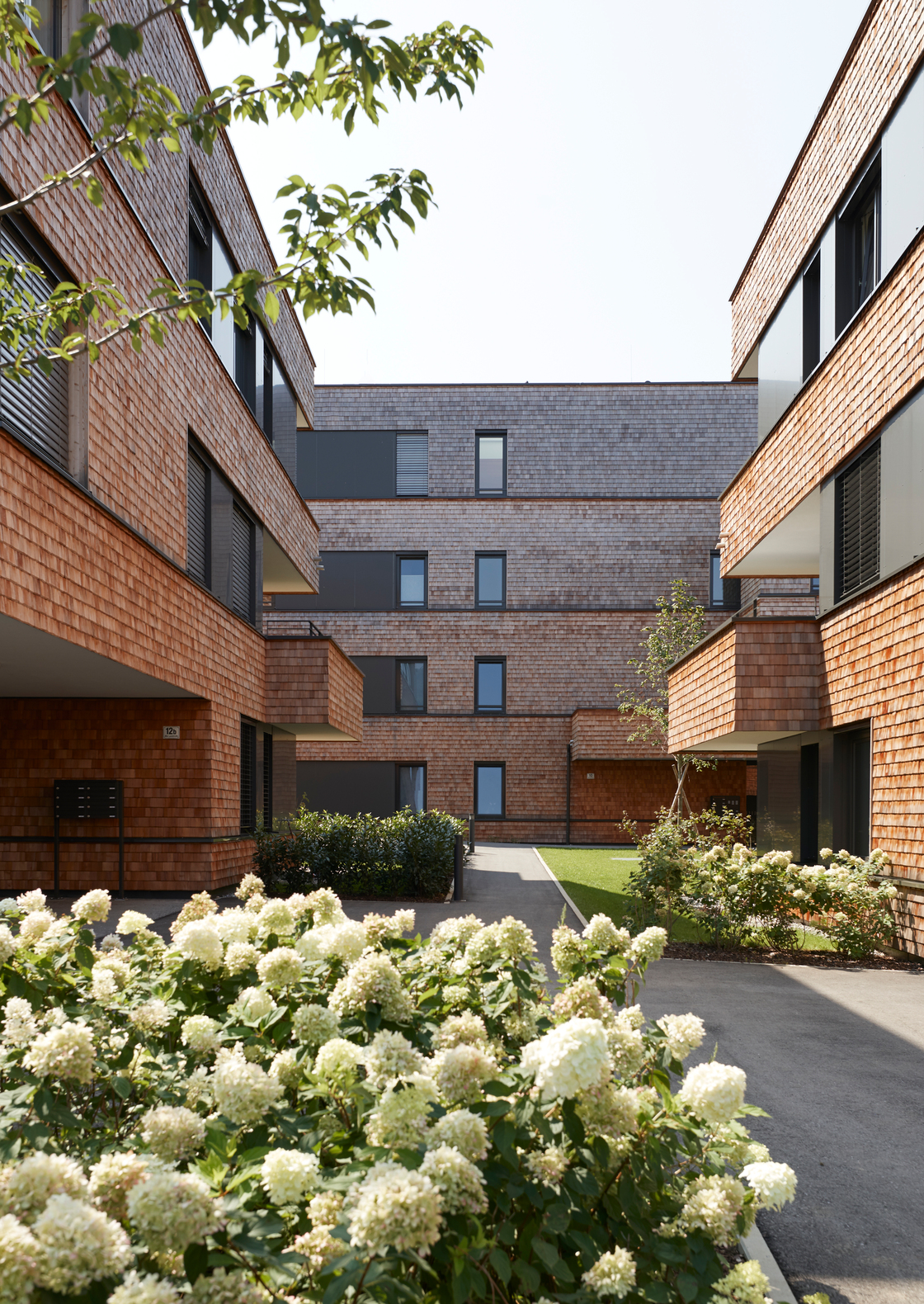 Ein Foto von Maria Ritsch