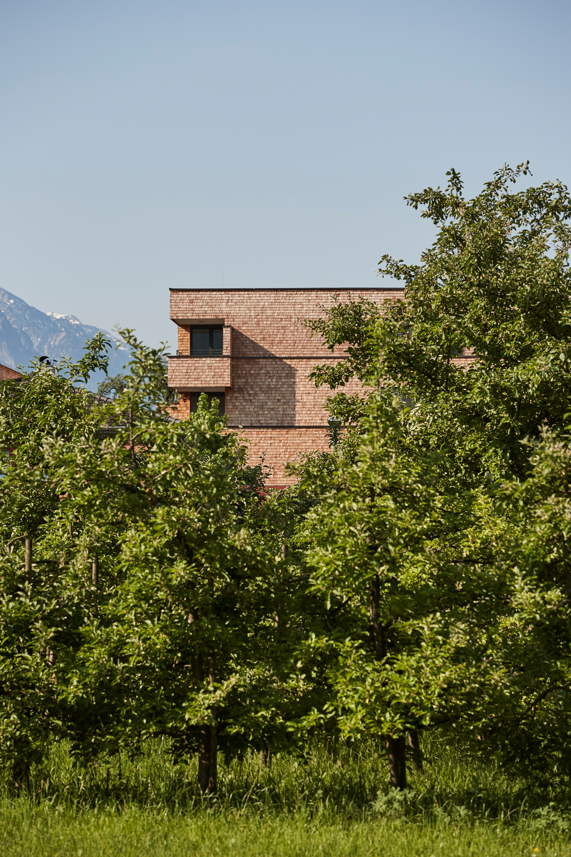 Ein Foto von Maria Ritsch