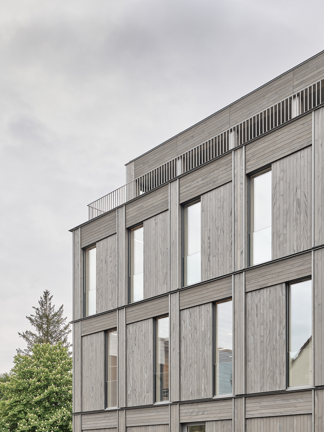 Ein Foto von Zooey Braun