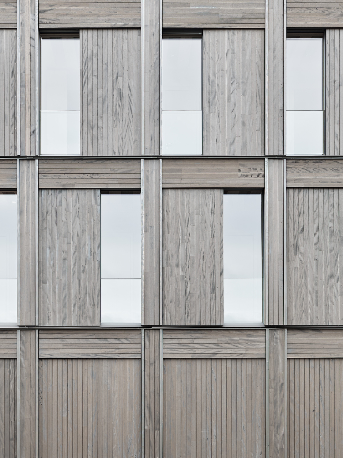 Ein Foto von Zooey Braun