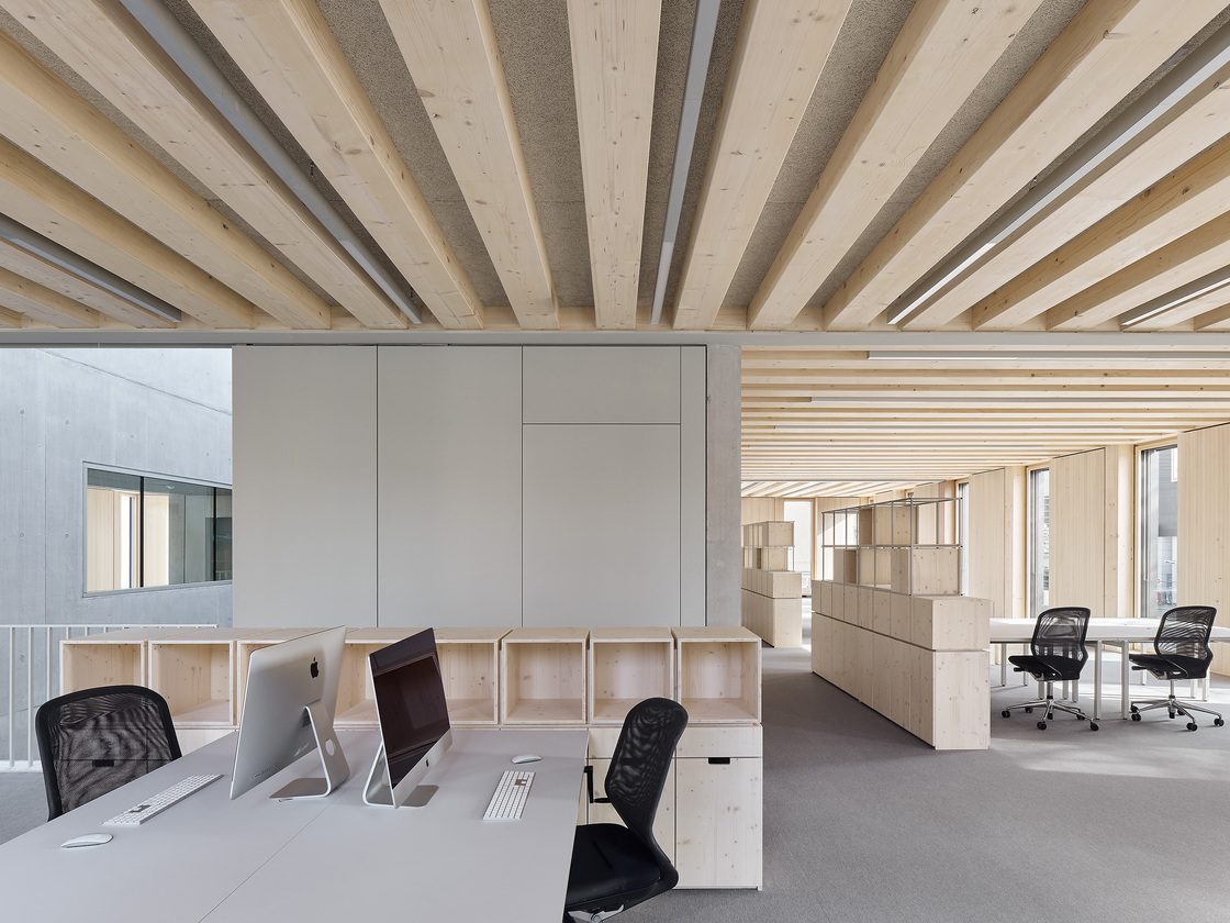 Ein Foto von Zooey Braun