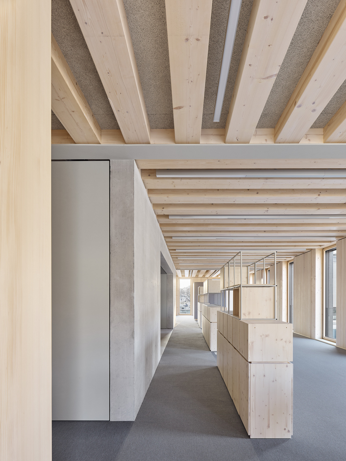 Ein Foto von Zooey Braun