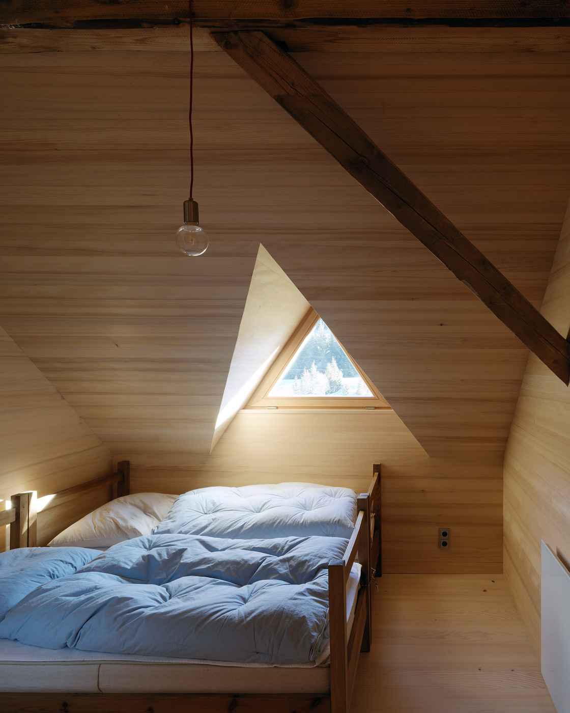 Ein Foto von Paul Ott