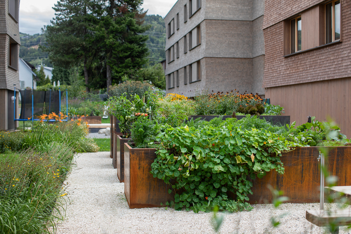 Ein Foto von Petra Rainer