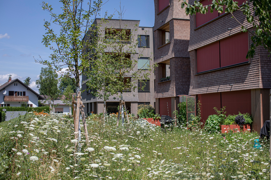 Ein Foto von Petra Rainer