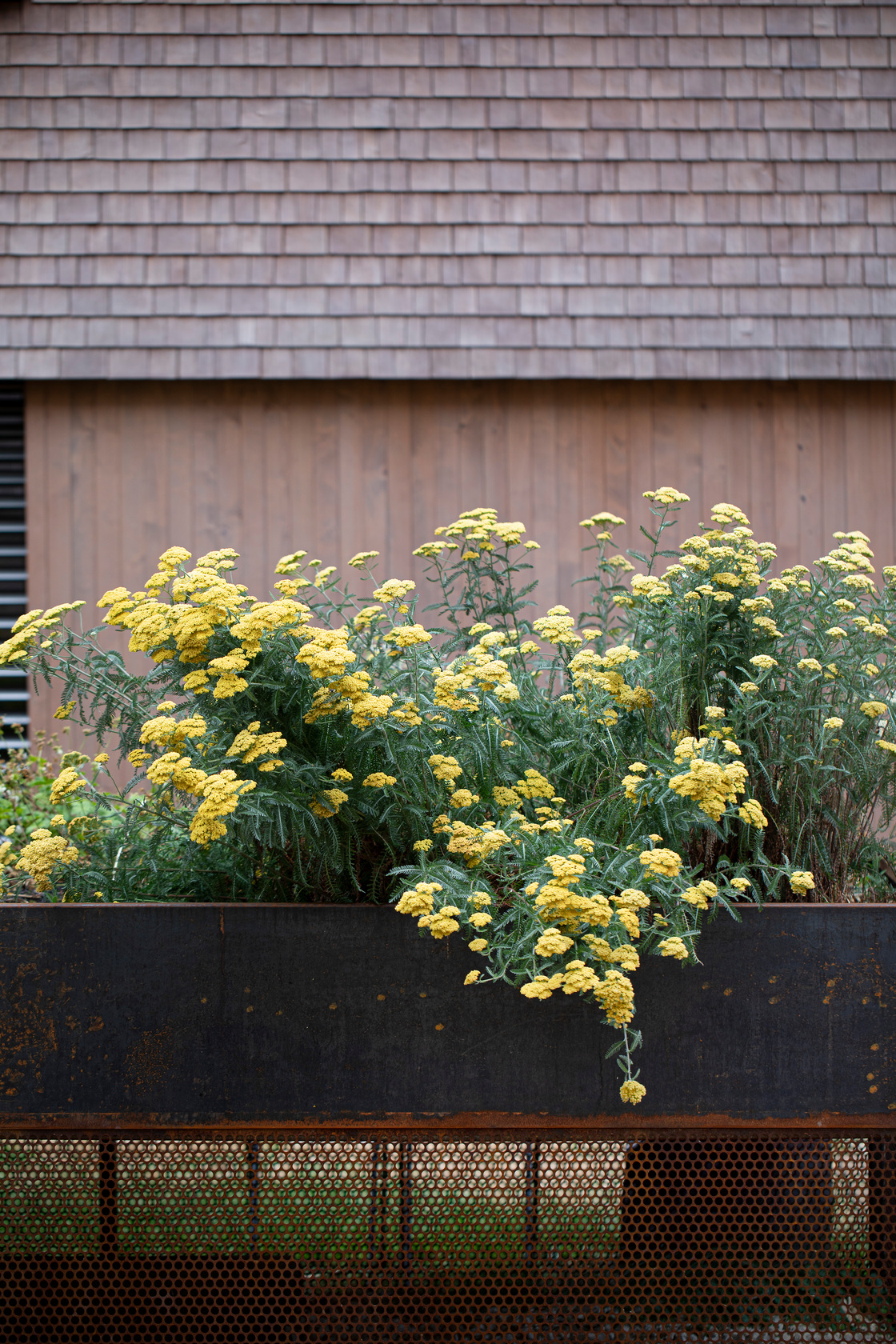 Ein Foto von Petra Rainer