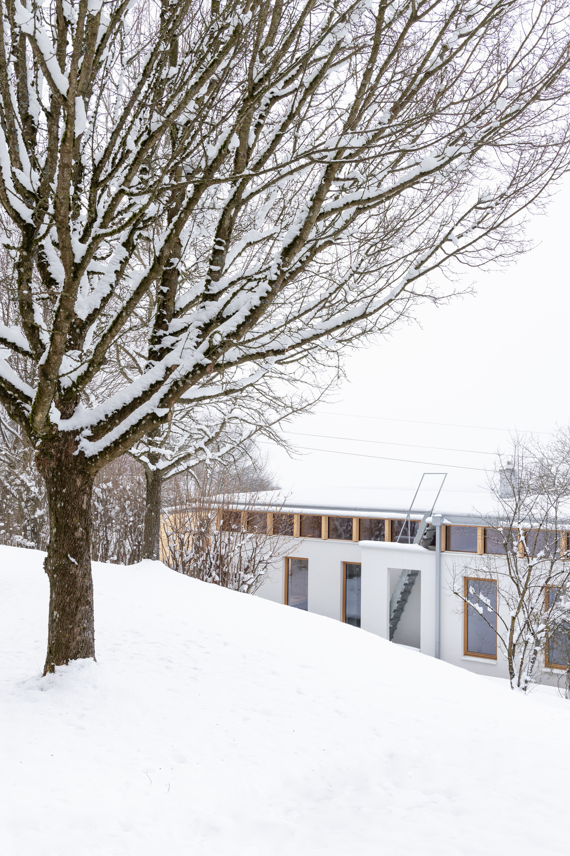 Ein Foto von Gregor Graf