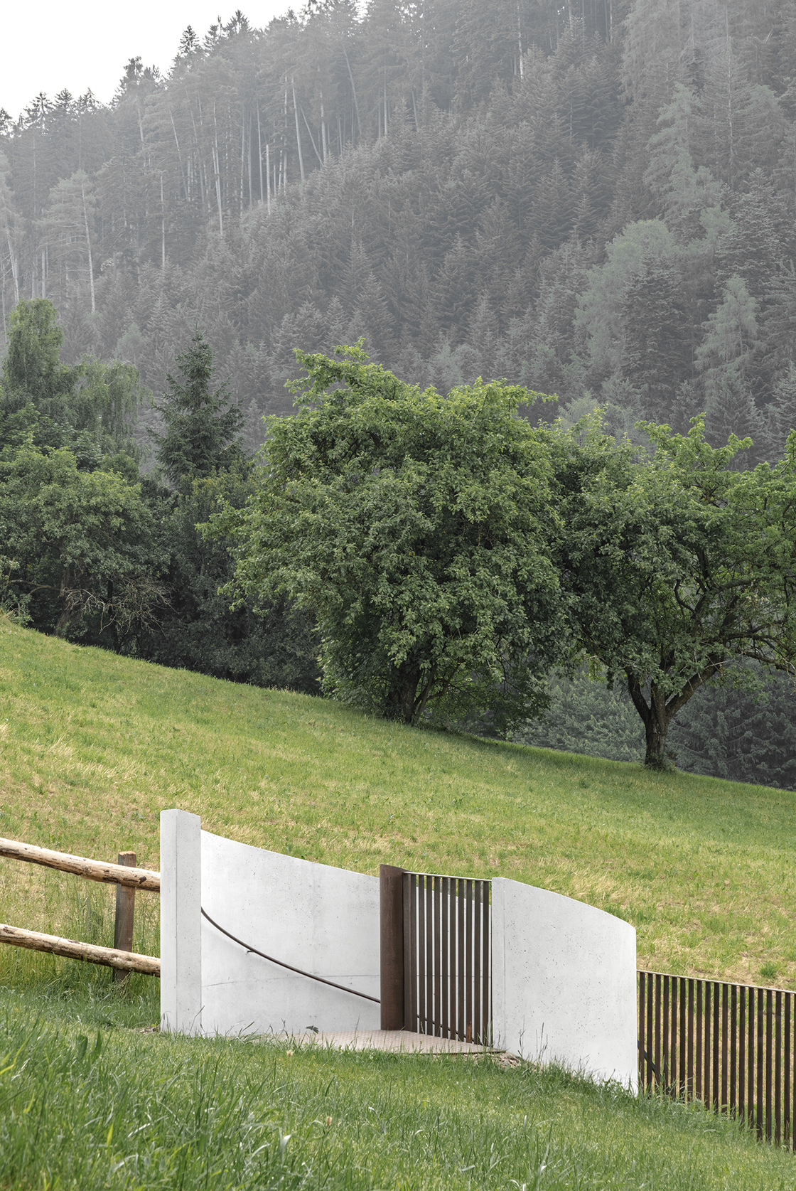 Ein Foto von Gustav Willeit