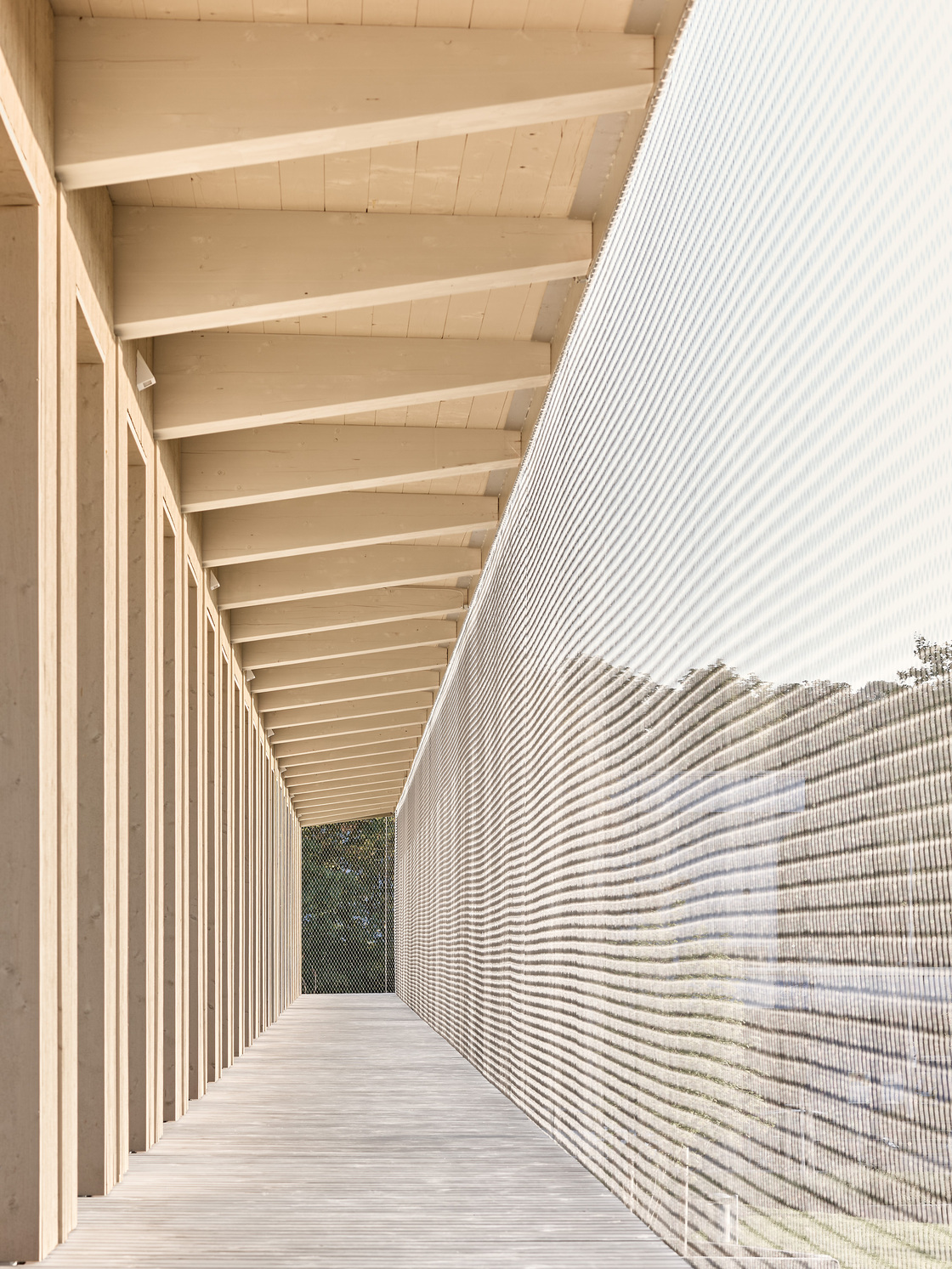 Ein Foto von Zooey Braun