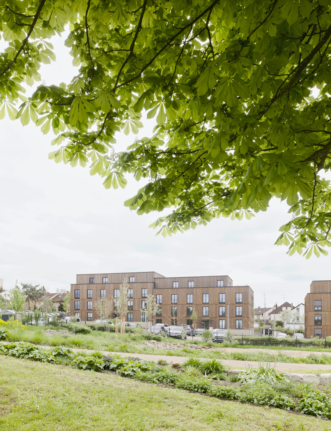 Ein Foto von Brigida Gonzalez