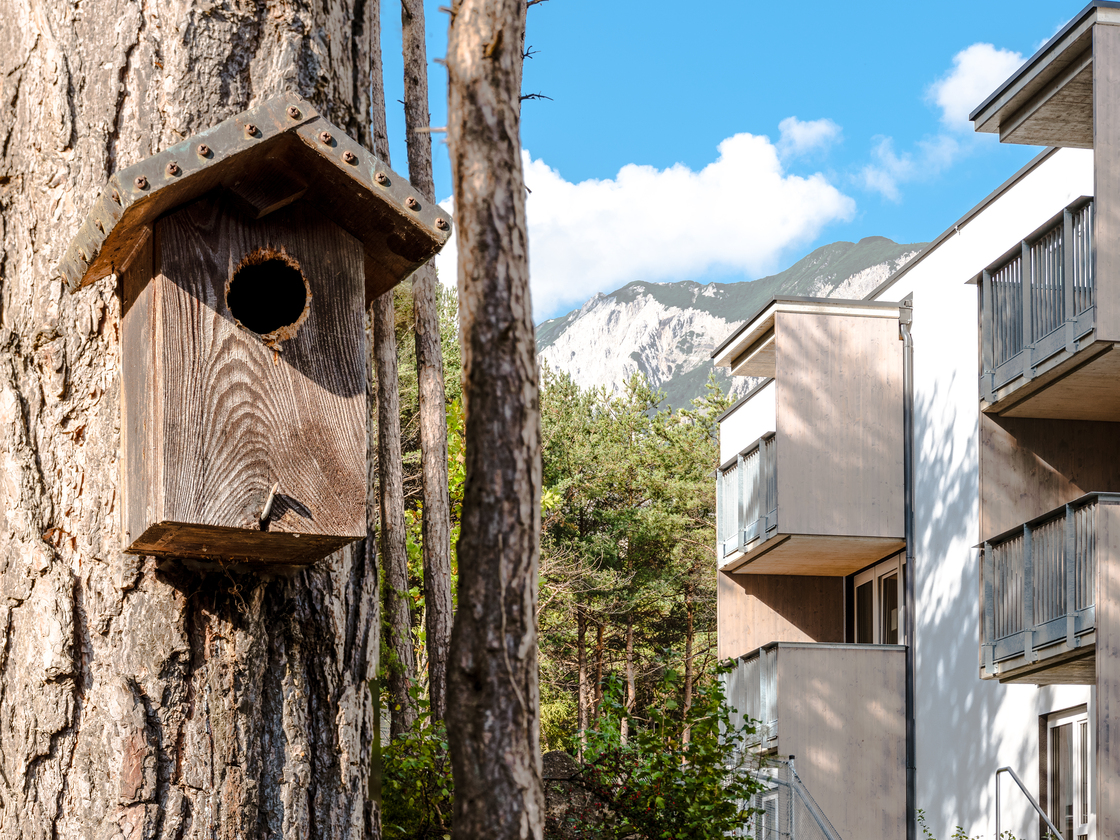 Ein Foto von dirr günter / 2quadr.at