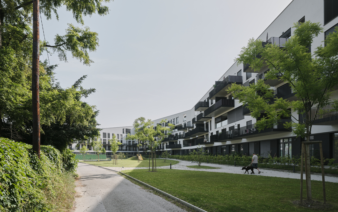 Ein Foto von David Schreyer