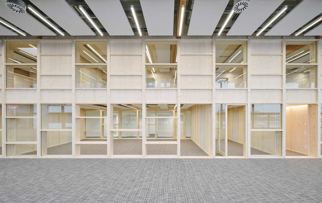 Ein Foto von David Schreyer