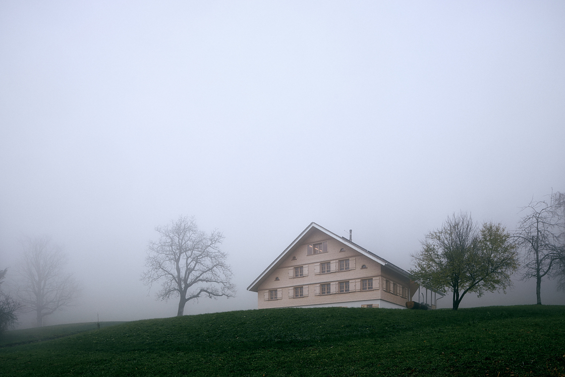 Ein Foto von Darko Todorovic