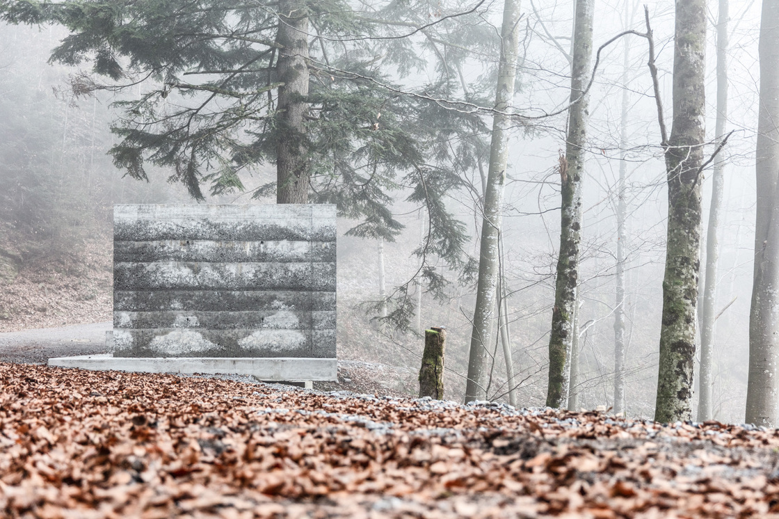 Ein Foto von Faruk Pinjo