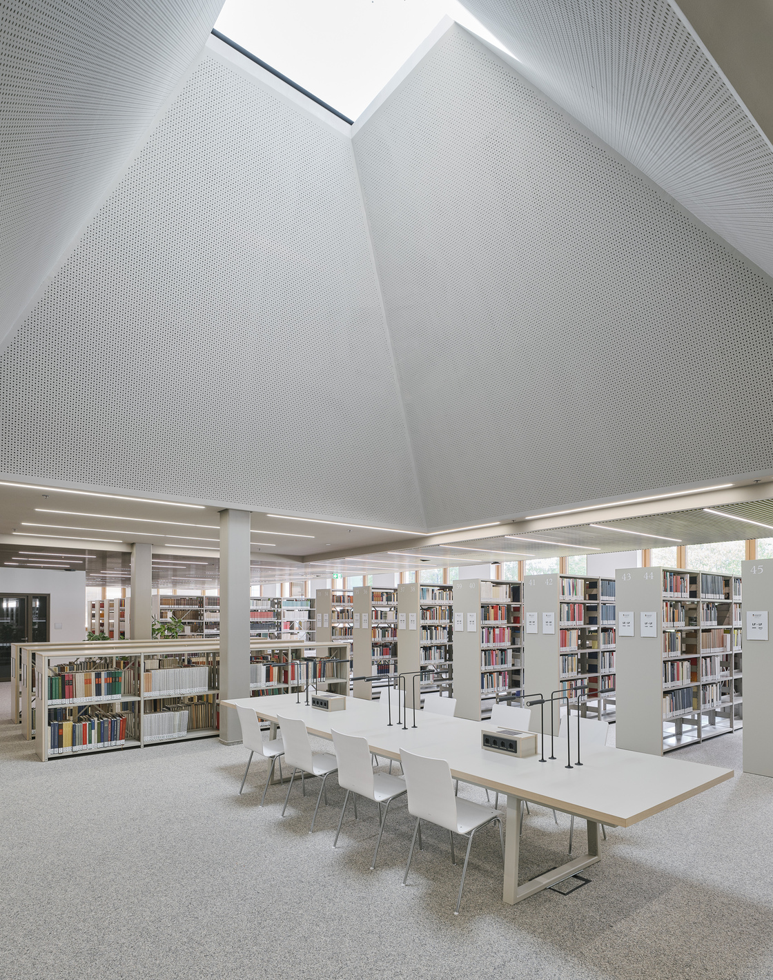 Ein Foto von David Schreyer