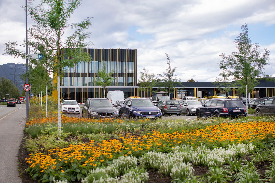 Ein Foto von Petra Rainer