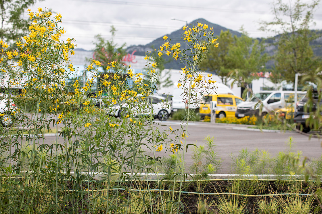 Ein Foto von Petra Rainer