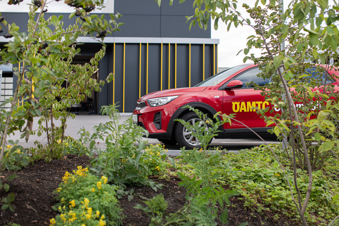 Ein Foto von Petra Rainer