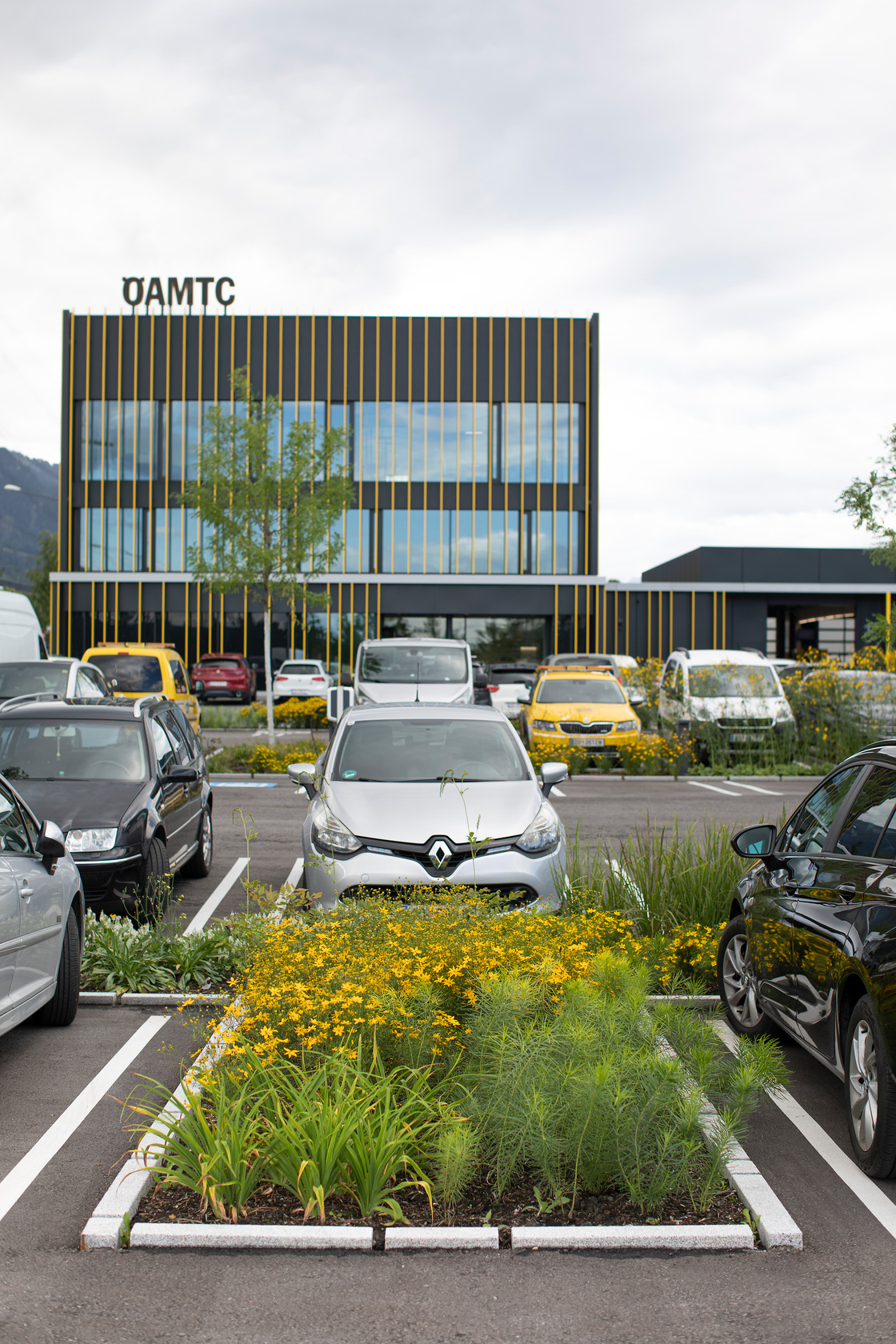 Ein Foto von Petra Rainer