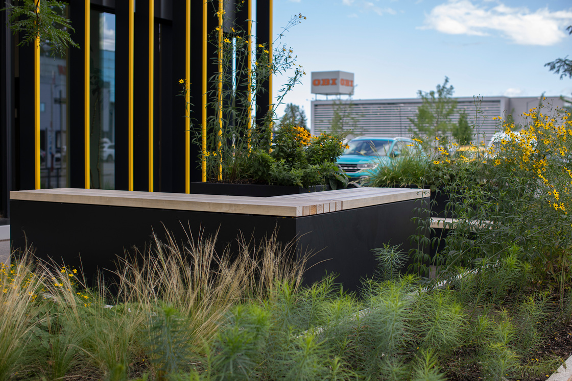 Ein Foto von Petra Rainer