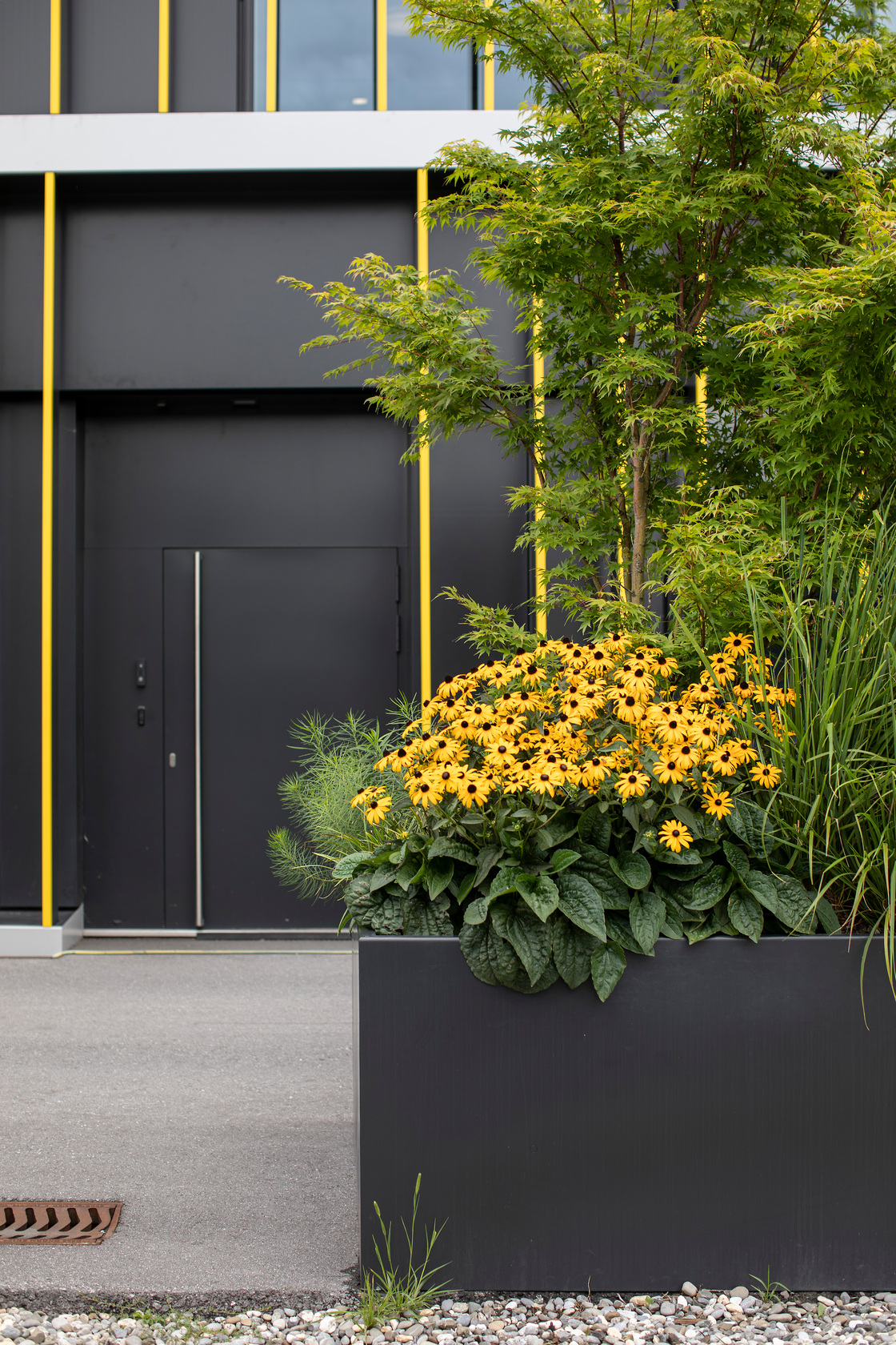 Ein Foto von Petra Rainer