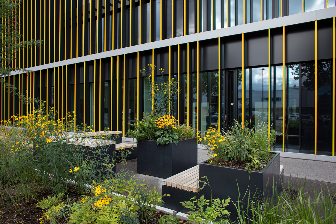 Ein Foto von Petra Rainer